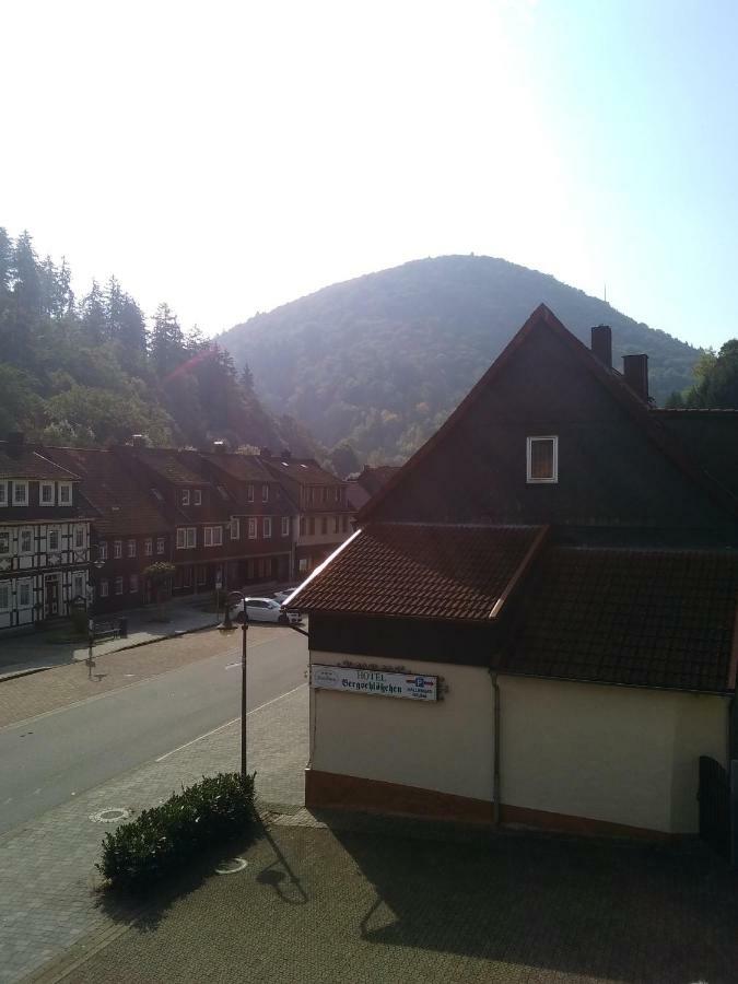 Hotel Bergschlosschen Zorge Extérieur photo