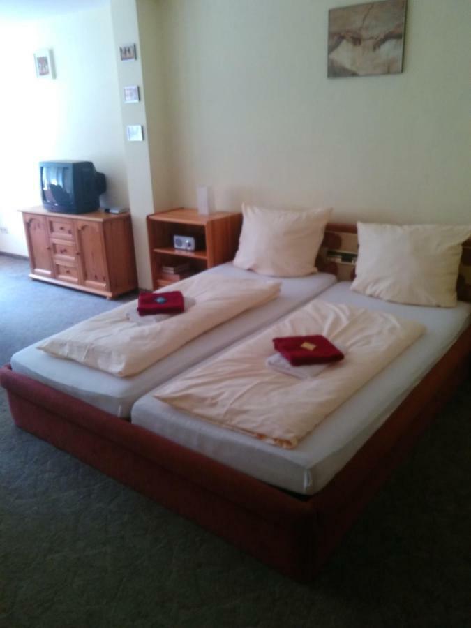 Hotel Bergschlosschen Zorge Extérieur photo