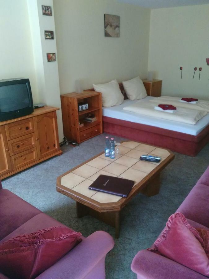Hotel Bergschlosschen Zorge Extérieur photo