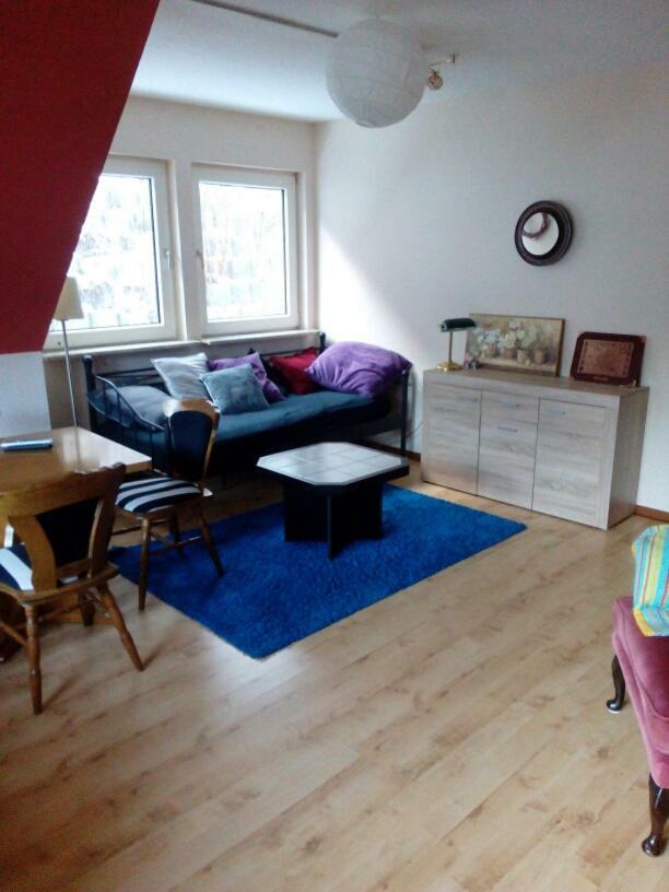 Hotel Bergschlosschen Zorge Extérieur photo